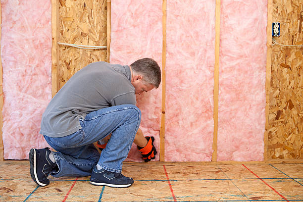 Best Insulation Installation Services in Leland, NC